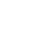person on ladder
